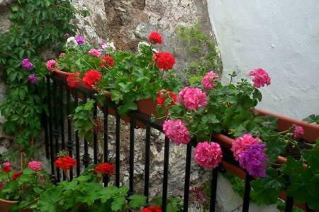 Casa Con Encanto, Escapadas Romanticas Salobreña Buitenkant foto